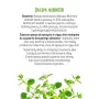 Bacopa Monnieri - 120 kapsułek Biowen - 5