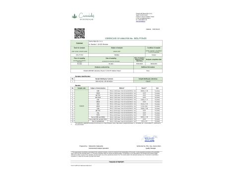 Sunny Vape Kartridż CBD Girls Scout Cookies 95% kannabinoidów 1ml - 2