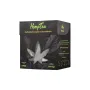 HempKing Herbatka konopna w piramidkach - 4