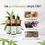 Olej konopny CBD 8% Canna Harmony 5% CBD + 2% CBDA + 1% CBG Natural 800mg 10ml - 6