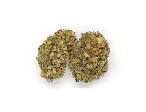 Sativa Poland Susz CBD Amazing Haze - 4