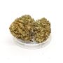 Sativa Poland Susz CBD Amazing Haze - 4