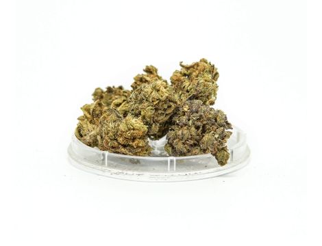 Sativa Poland Susz CBD Bubbels - 2