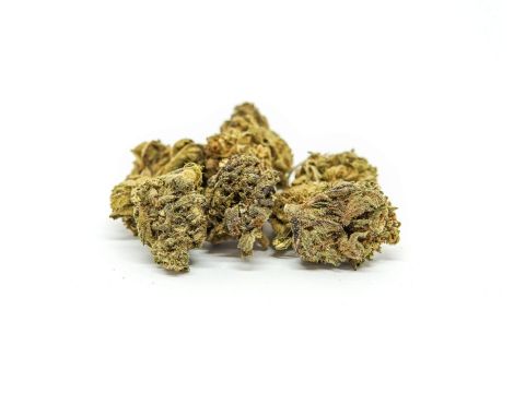 Sativa Poland Susz CBD Bubbels - 4