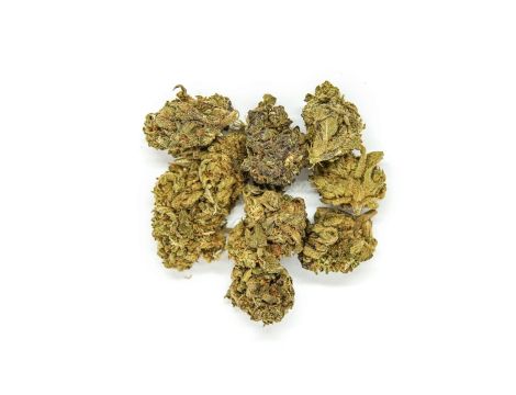 Sativa Poland Susz CBD Bubbels - 5