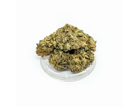 Sativa Poland Susz CBD OG Kush - 3