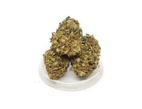 Sativa Poland Susz CBD Hawai Haze - 3