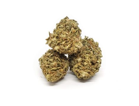 Sativa Poland Susz CBD Hawai Haze - 4