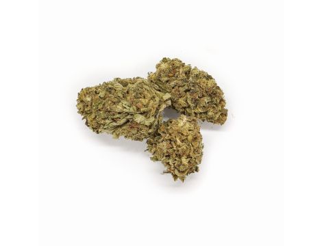 Sativa Poland Susz CBD Hawai Haze - 5