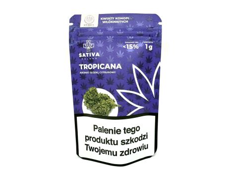 Sativa Poland Susz CBD Tropicana