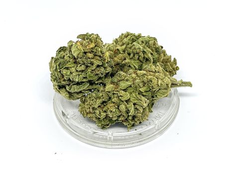 Sativa Poland Susz CBD Tropicana - 3