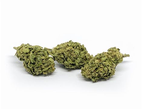 Sativa Poland Susz CBD Tropicana - 4