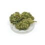 Sativa Poland Susz CBD Tropicana - 4