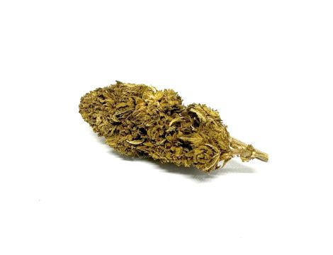 Sativa Poland Susz CBD Black 3,5G - 2