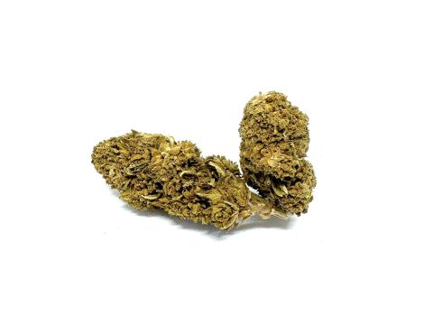 Sativa Poland Susz CBD Black 3,5G - 3