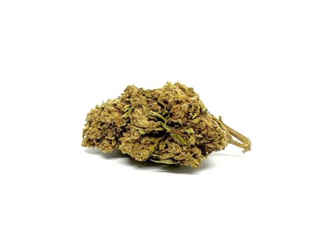 Sativa Poland Susz CBD Red 3,5G - 2