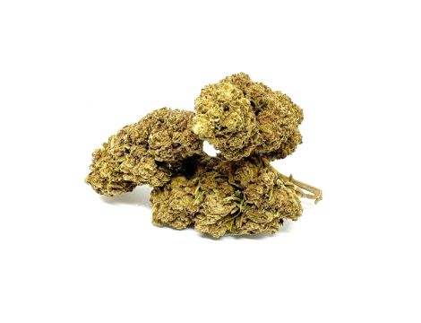 Sativa Poland Susz CBD Red 3,5G - 3