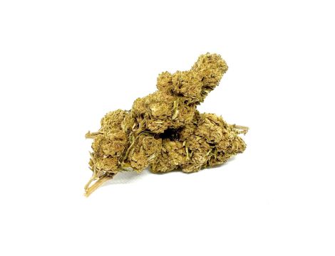 Sativa Poland Susz CBD Red 3,5G - 4