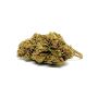 Sativa Poland Susz CBD Red 3,5G - 3