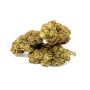 Sativa Poland Susz CBD Red 3,5G - 4