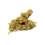 Sativa Poland Susz CBD Red 3,5G - 5