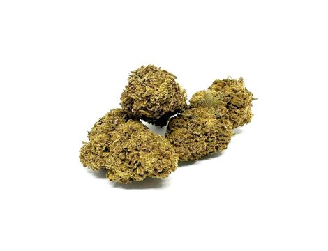 Sativa Poland Susz CBD Yellow 3,5G - 3