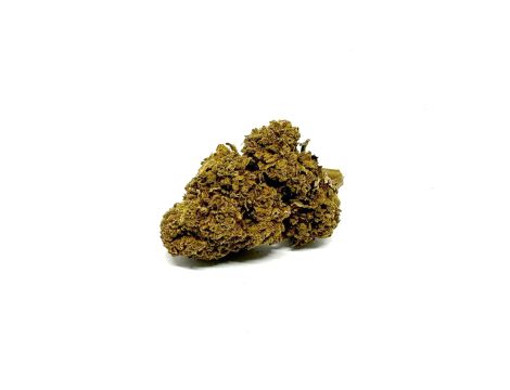 Sativa Poland Susz CBD Yellow 3,5G - 2