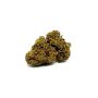 Sativa Poland Susz CBD Yellow 3,5G - 3