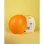 Integra Boost Terpene Essentials Limonen 62% 4g - 3